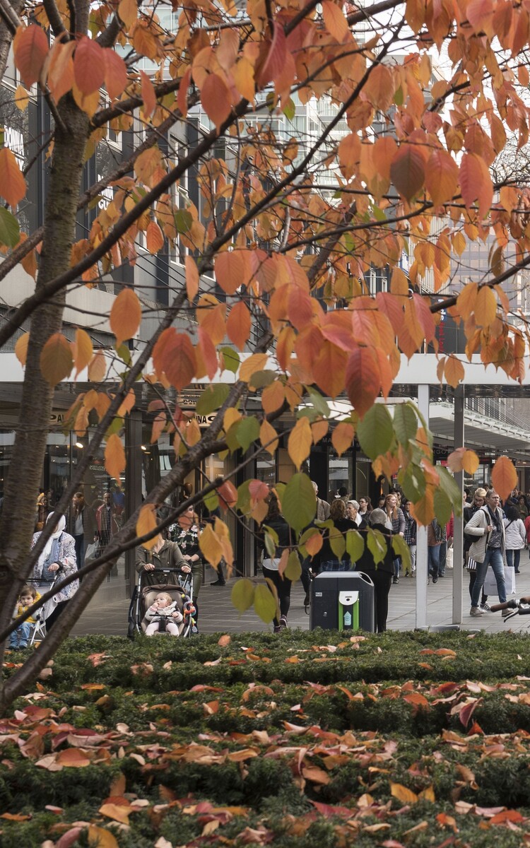 Lijnbaan Herfst Timo van den Berg