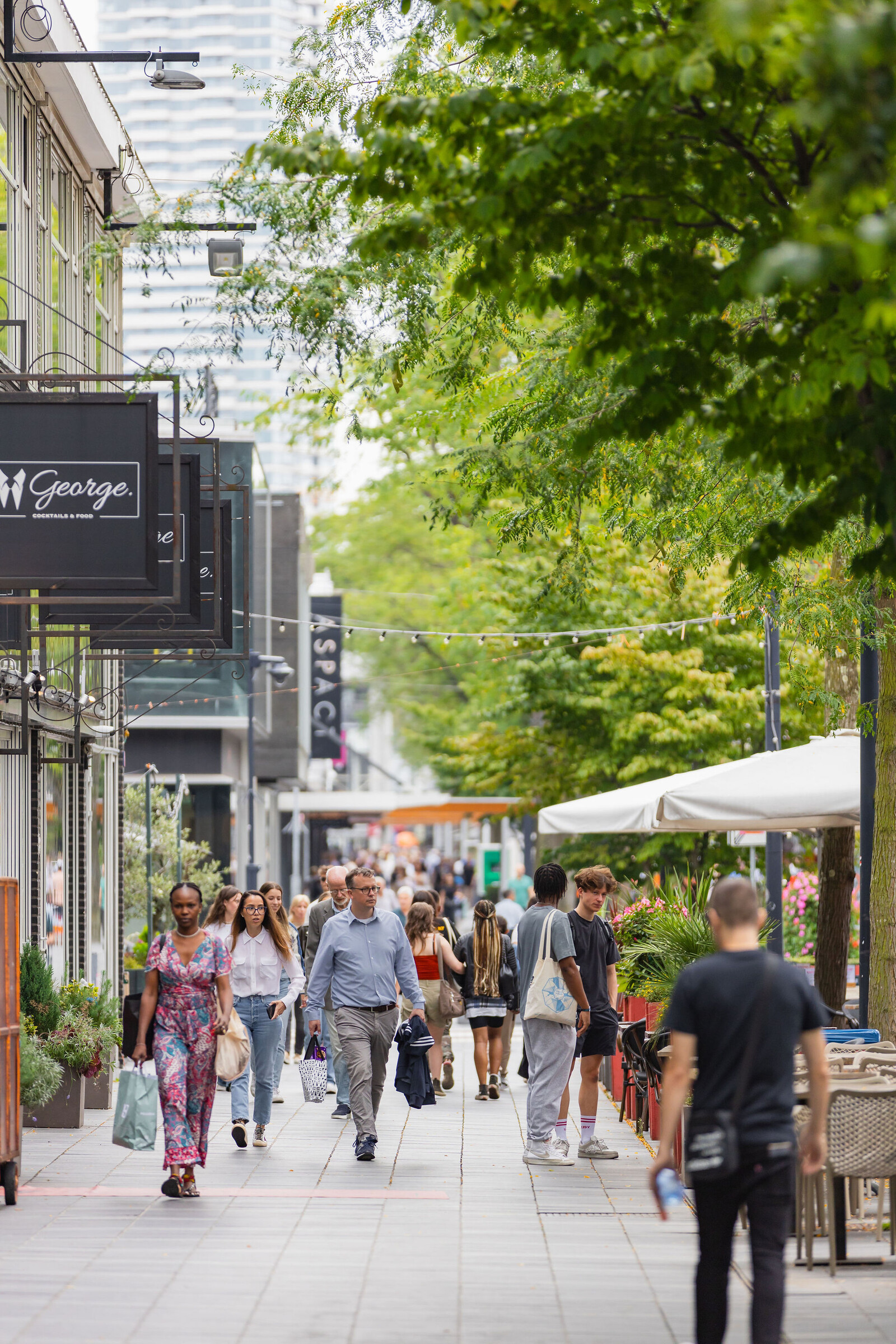 BIZROTTERDAMCENTRUM 7 Lijnbaan