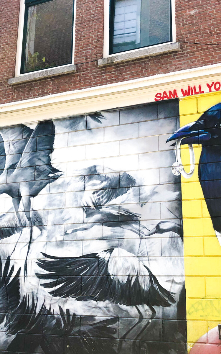 Love Birds Tymon de Laat Robert Rost Witte de Withstraat Roterdam