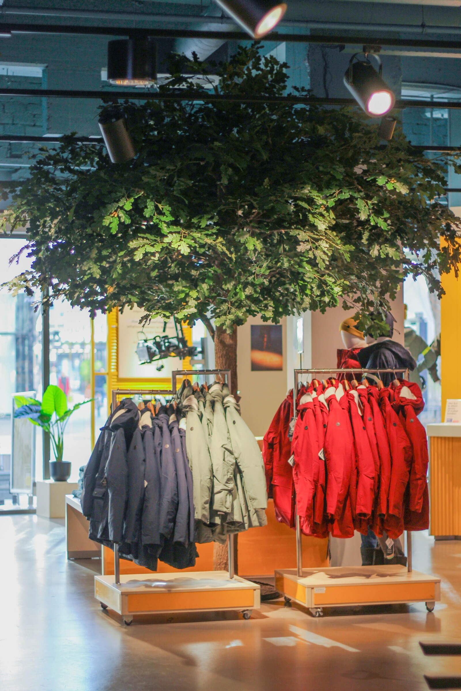 ANWB winkel boom in winkel Rotterdam