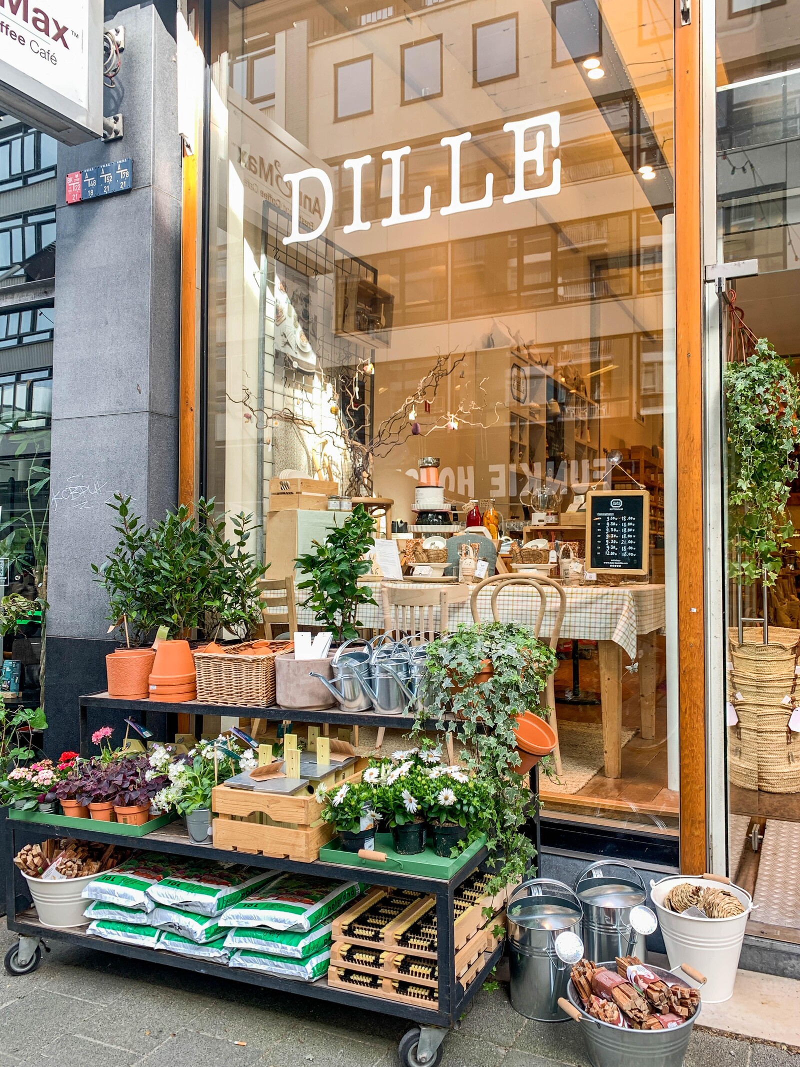Dille Kamillie winkel lente Rotterdam Centrum