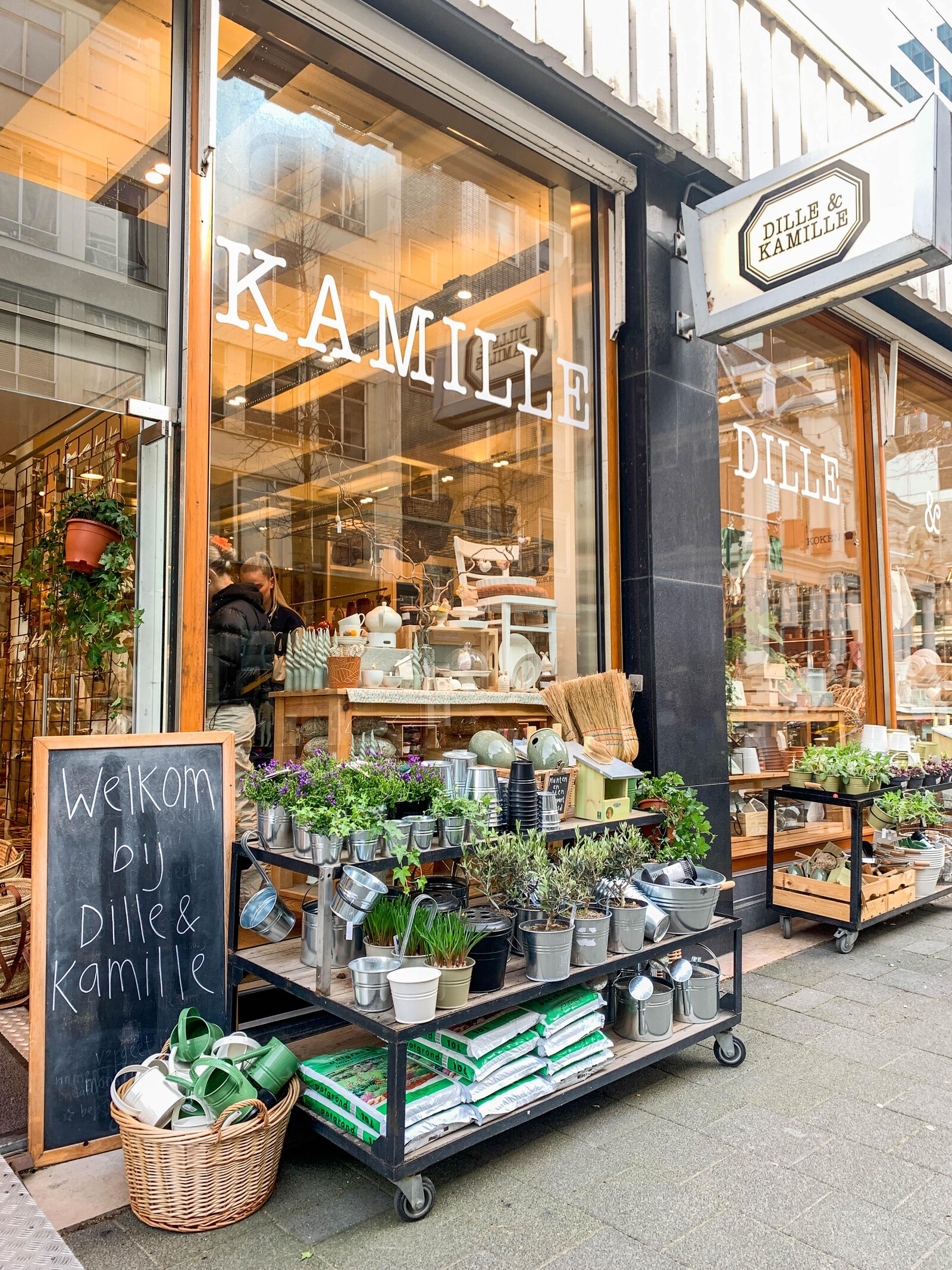 Dille Kamille lentesferen Rotterdam Centrum