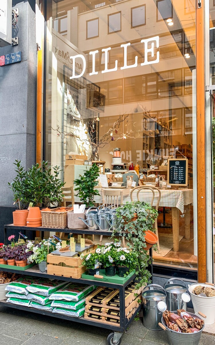 Dille Kamillie winkel lente Rotterdam Centrum
