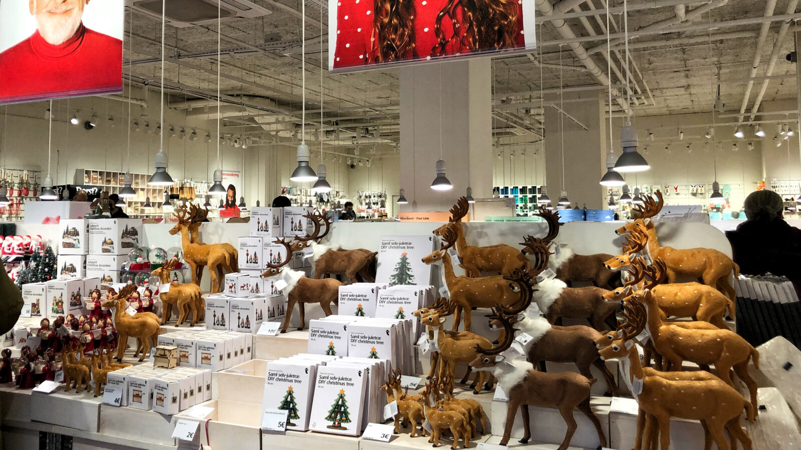 Concreet vreemd kleurstof Kerstdecoratie kopen in Rotterdam Centrum | #RotterdamCentrum