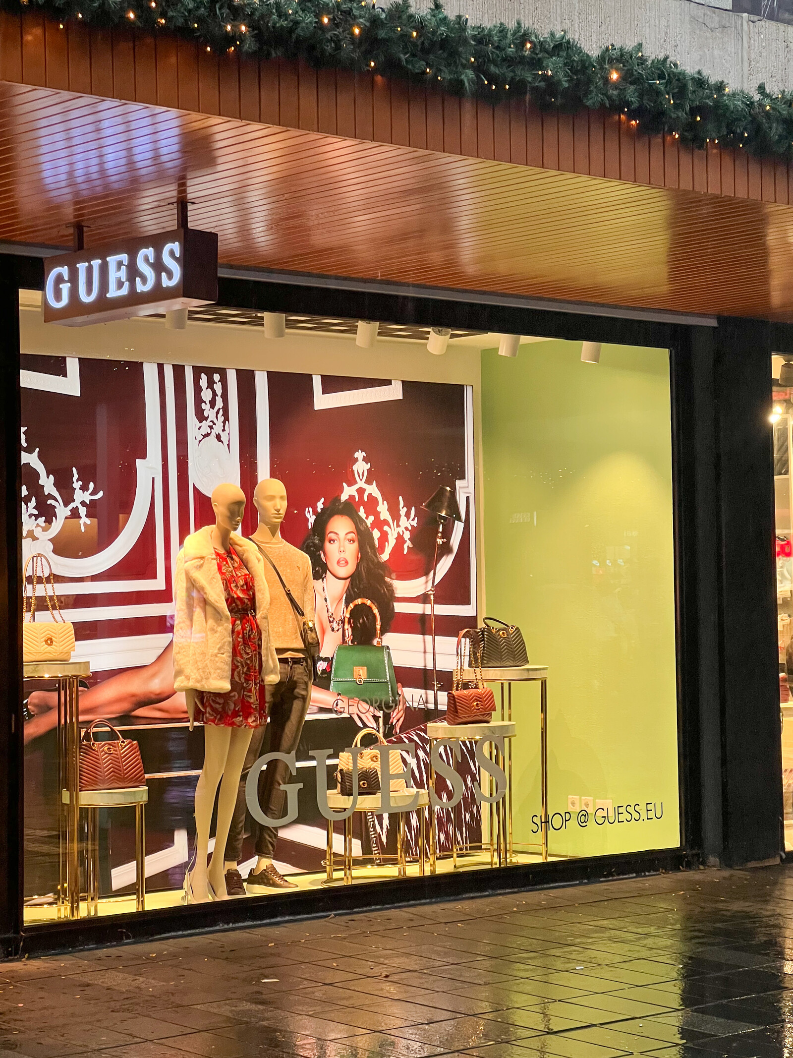 Guess najaar