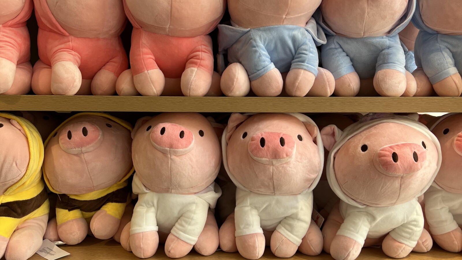 Miniso 1