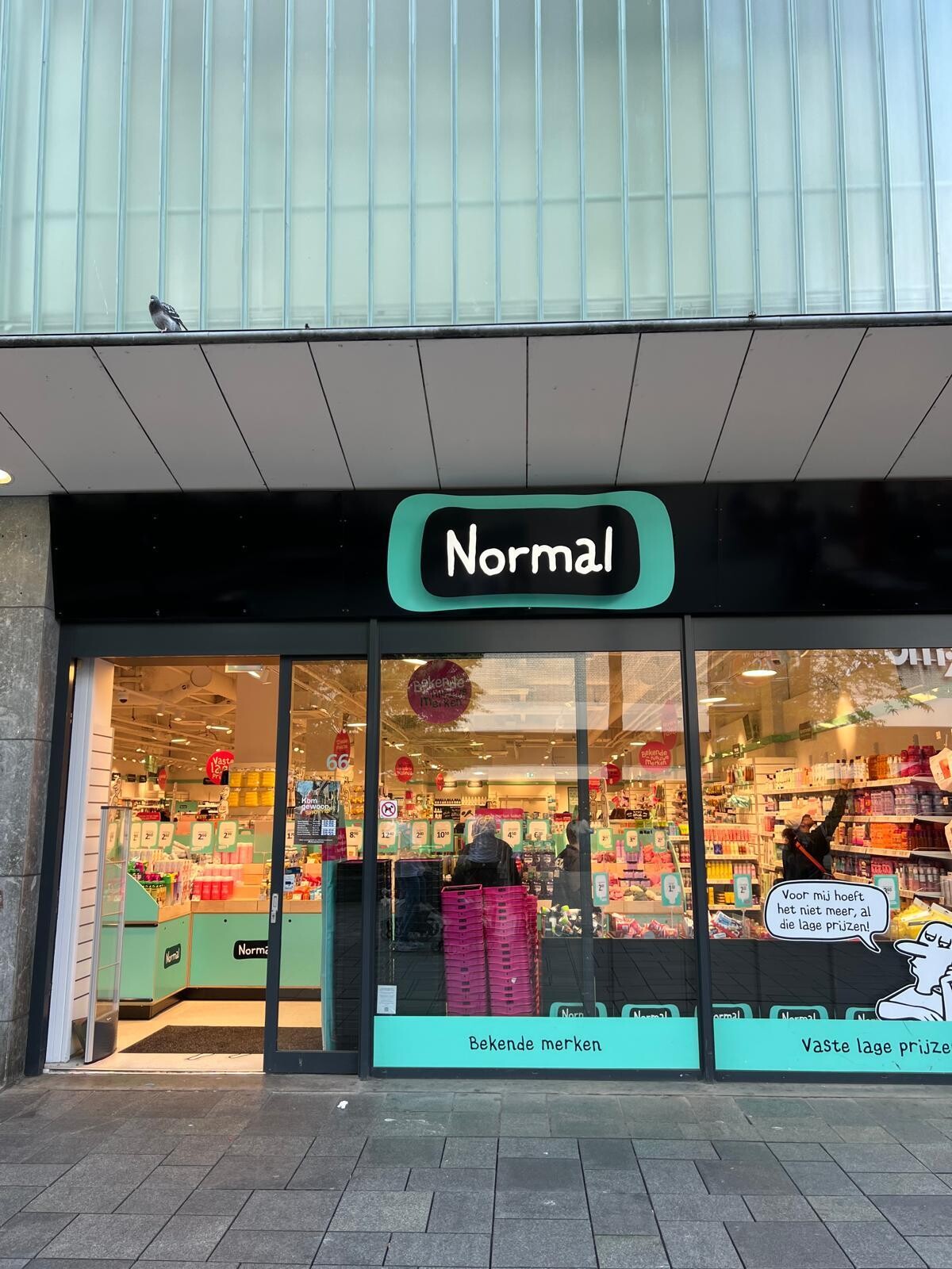 Normal Rotterdam 2
