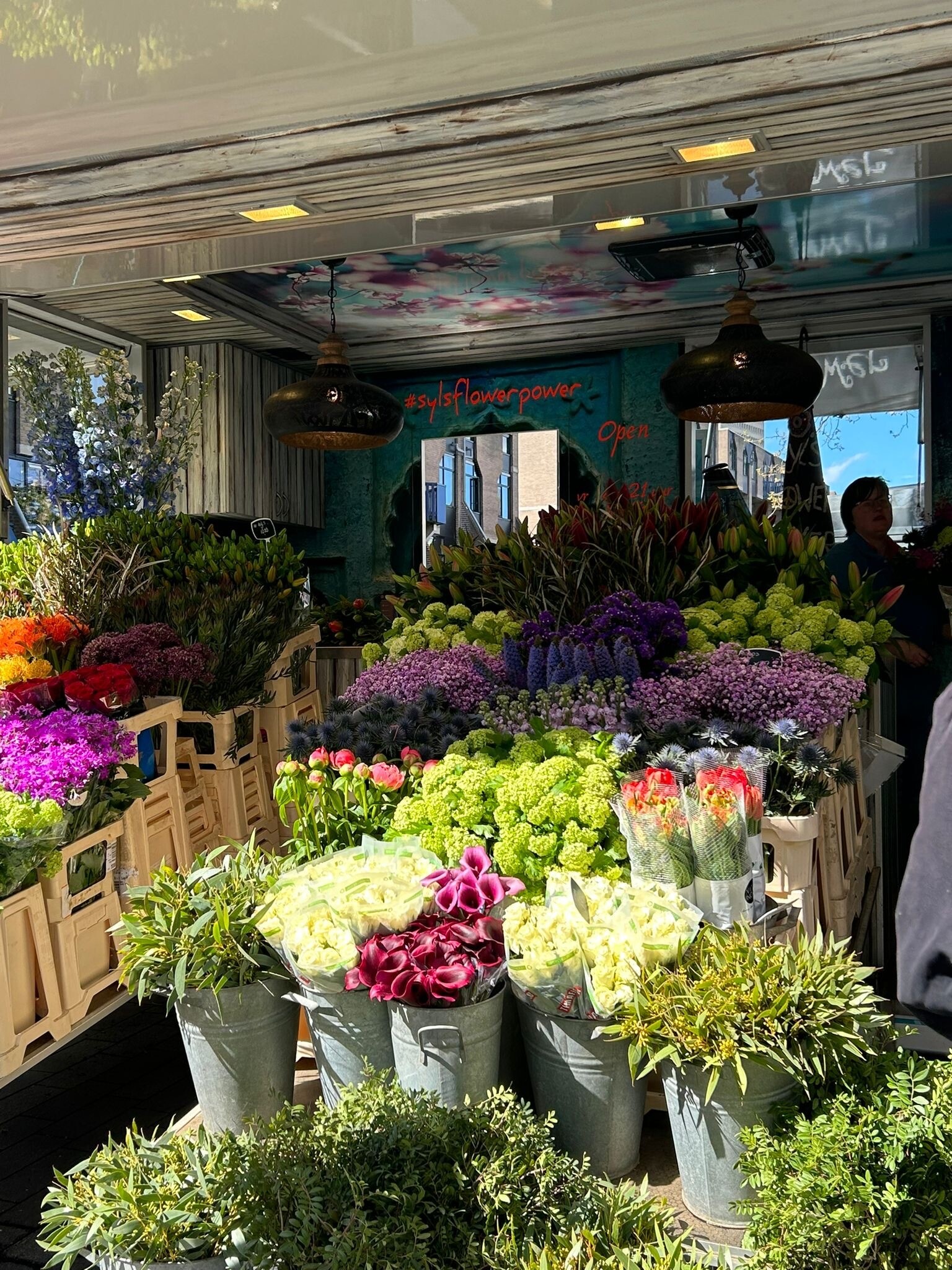 Syls Flower Power