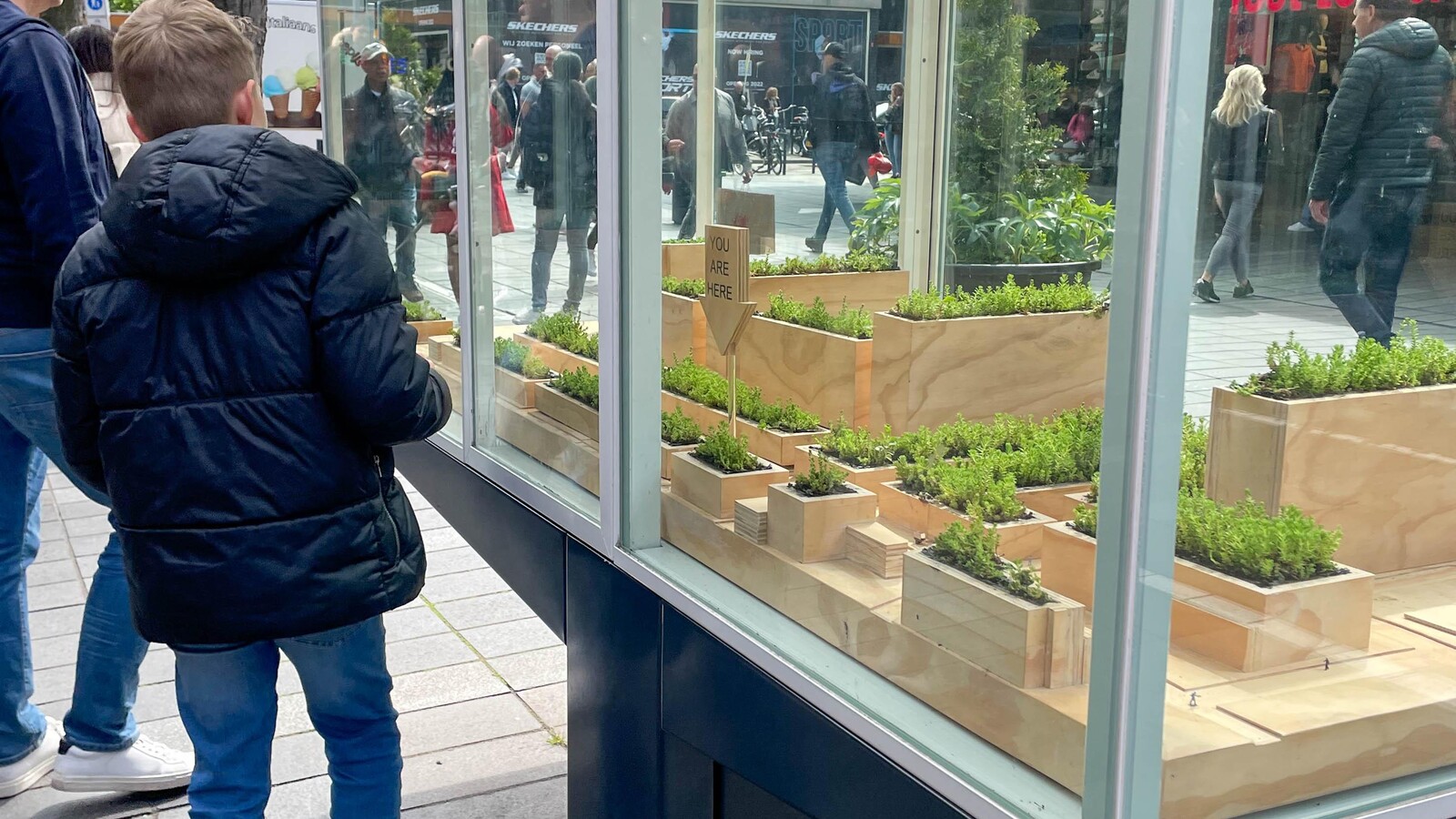 Dakendagen Vitrine rotterdam in het klein