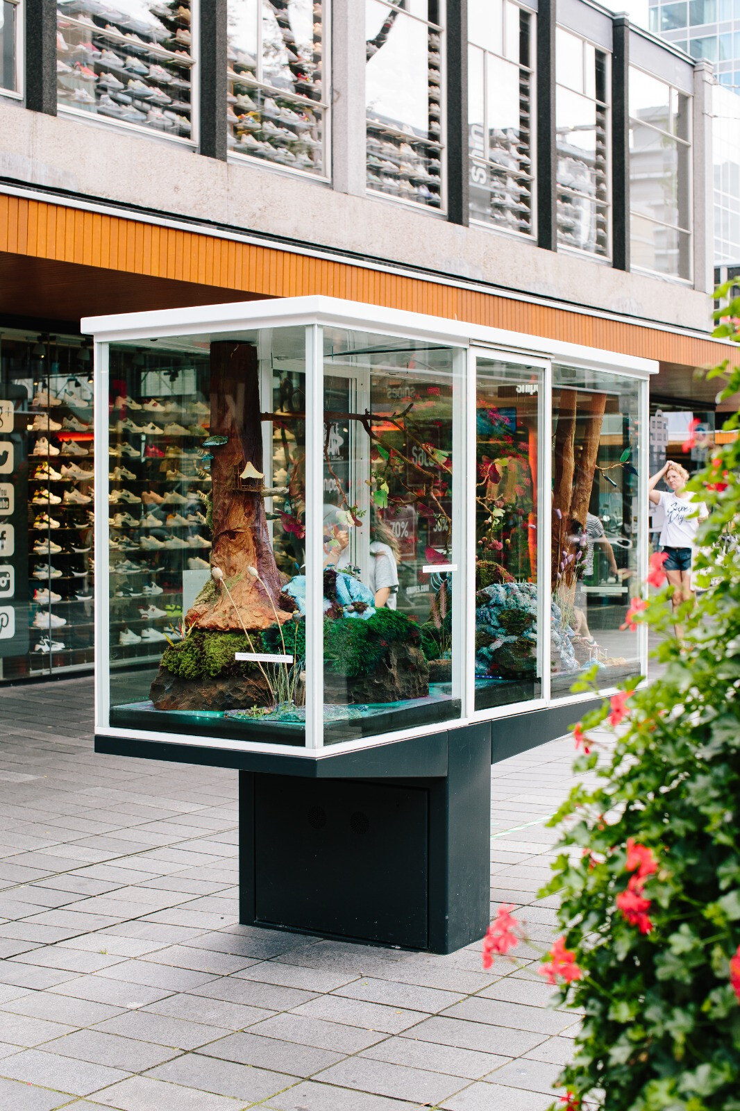 Cinema Biotoop Wild Life vitrine reveal lijnbaan Rotterdam