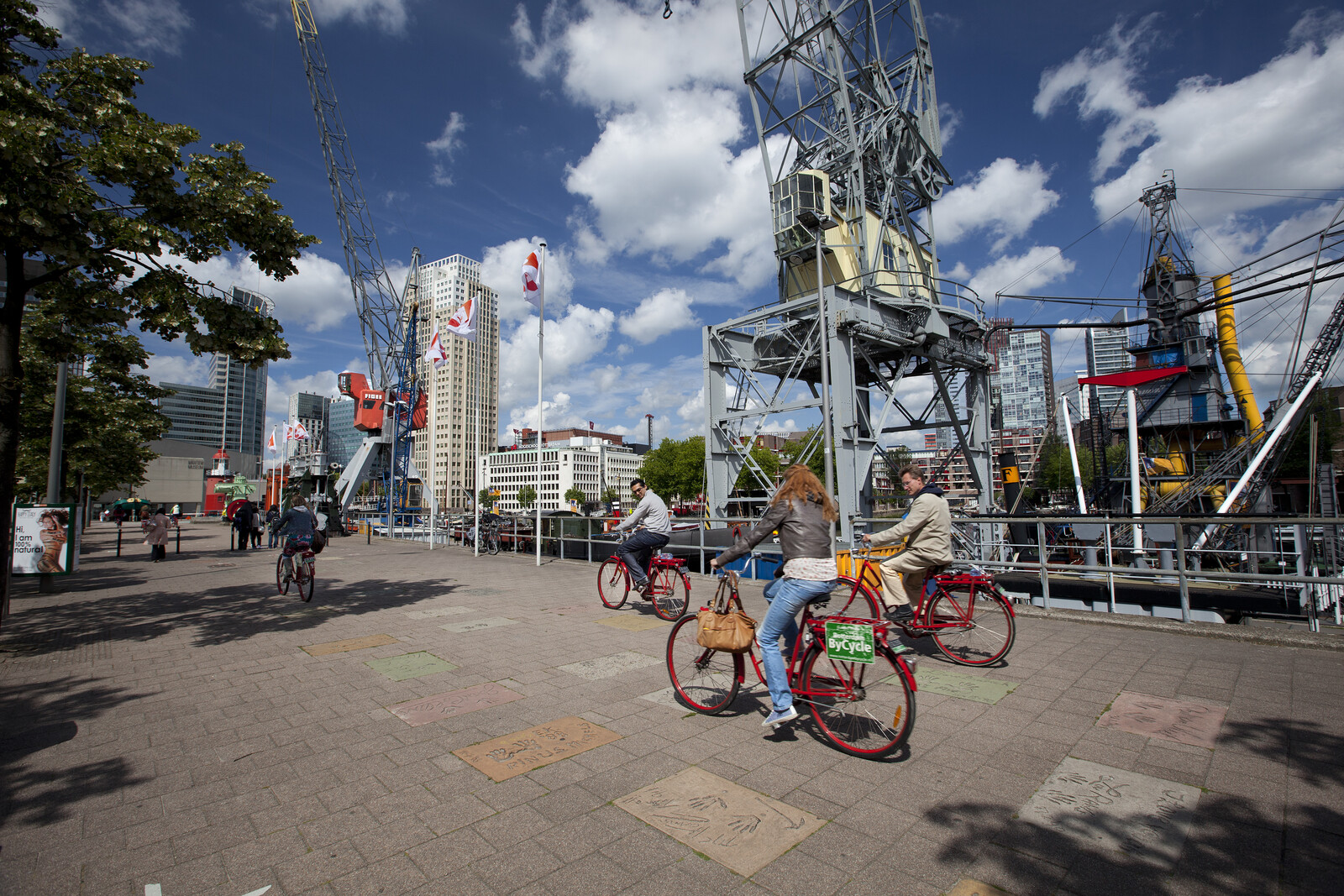 Fietsers Rotterdam