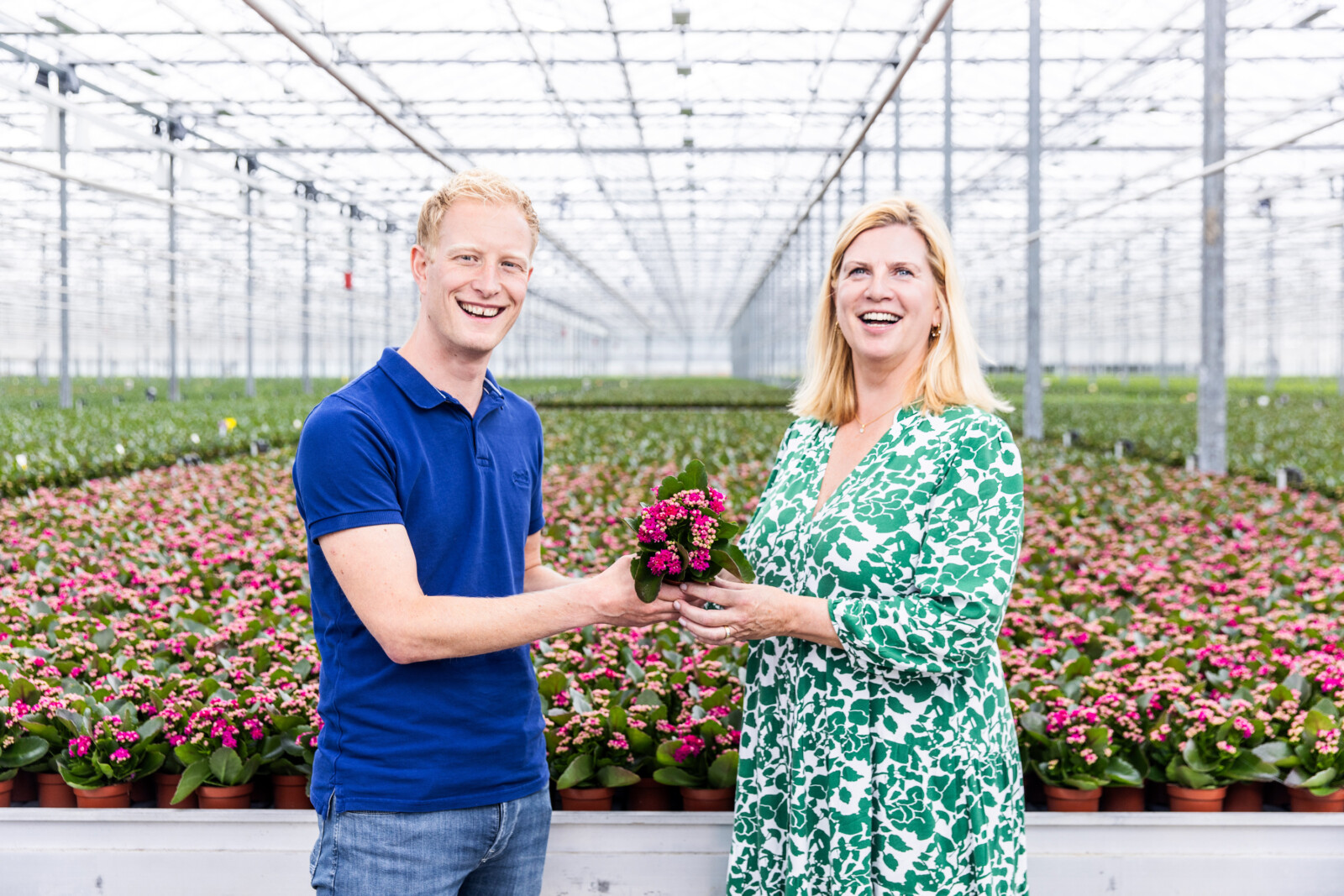 Niet lullen maar planten Rotterdam Centrum 2