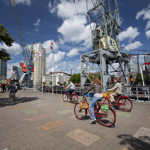 Fietsers Rotterdam