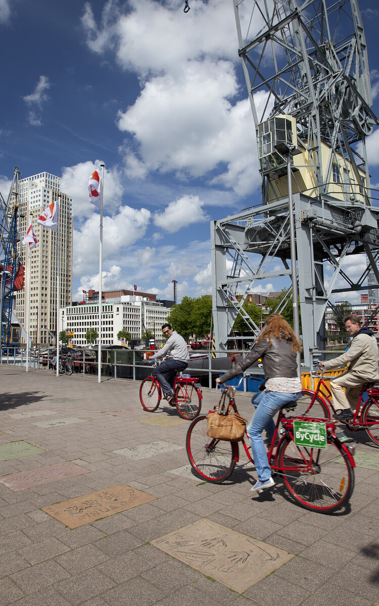 Fietsers Rotterdam